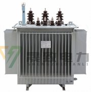 電力變壓器安裝技術(shù)分析